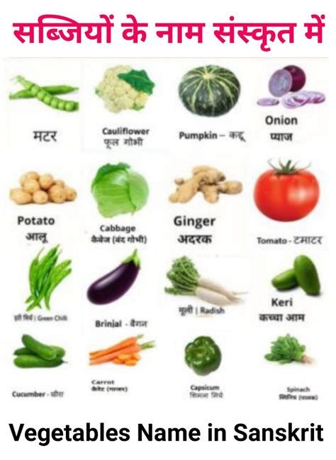 10 vegetables name in sanskrit